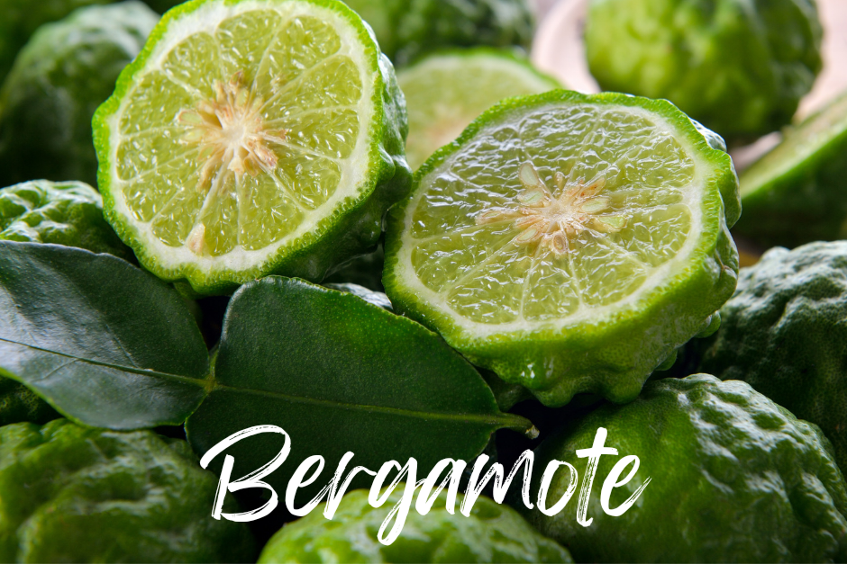 Bergamote : un allié pour la bonne humeur